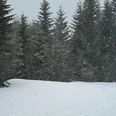 Apartment Lenka Mont Jahorina