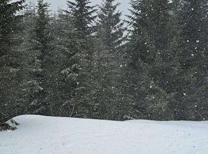 公寓 Lenka Mont 亚霍里纳